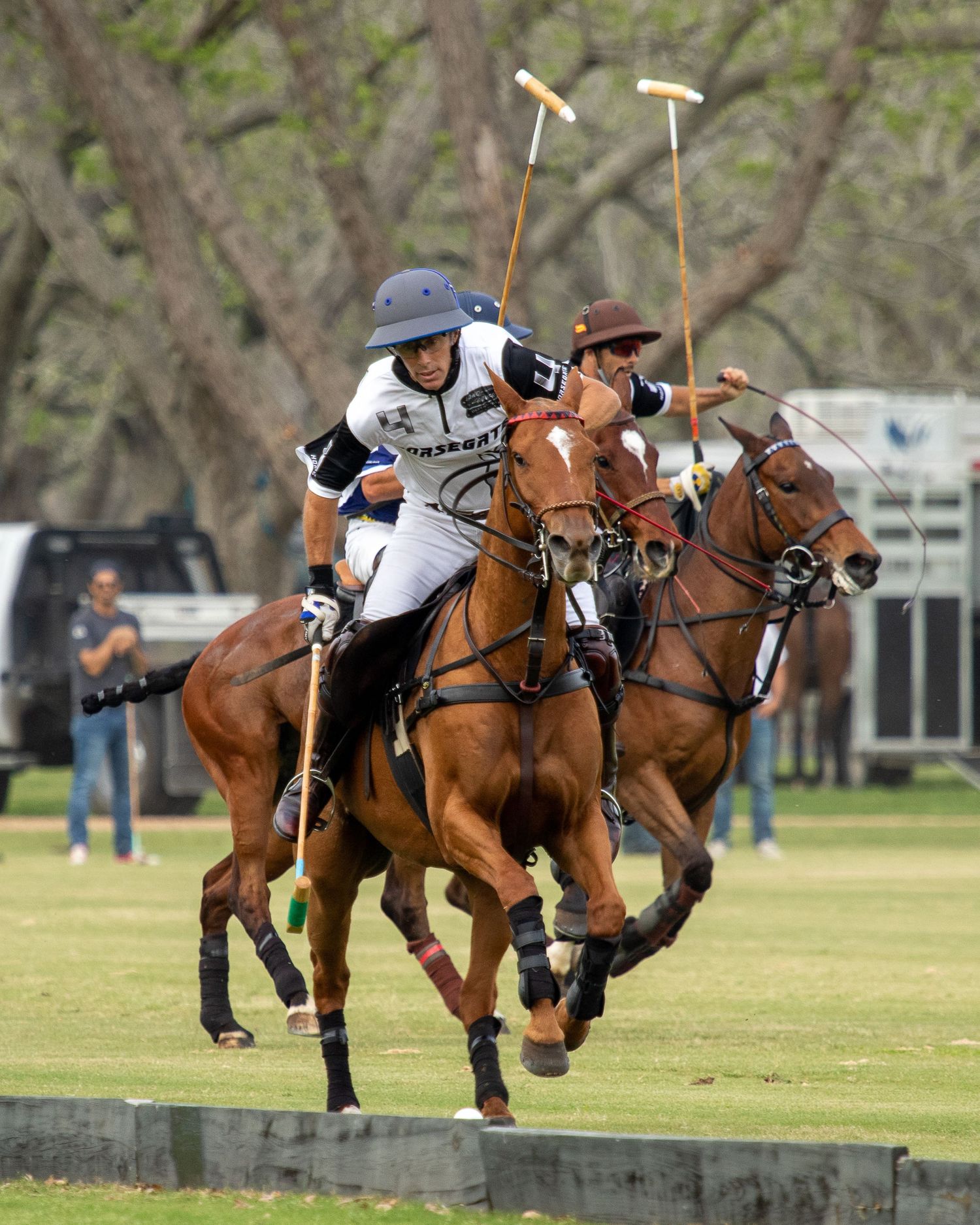 Polo