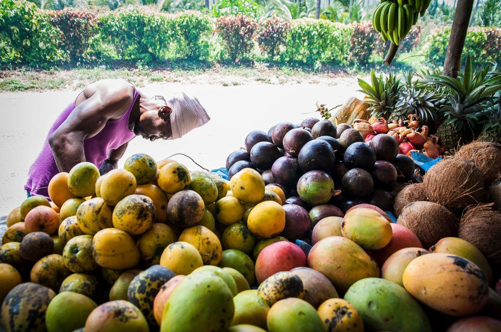 Fresh tropical fruits including watermelon and mangoes displayed at a market.