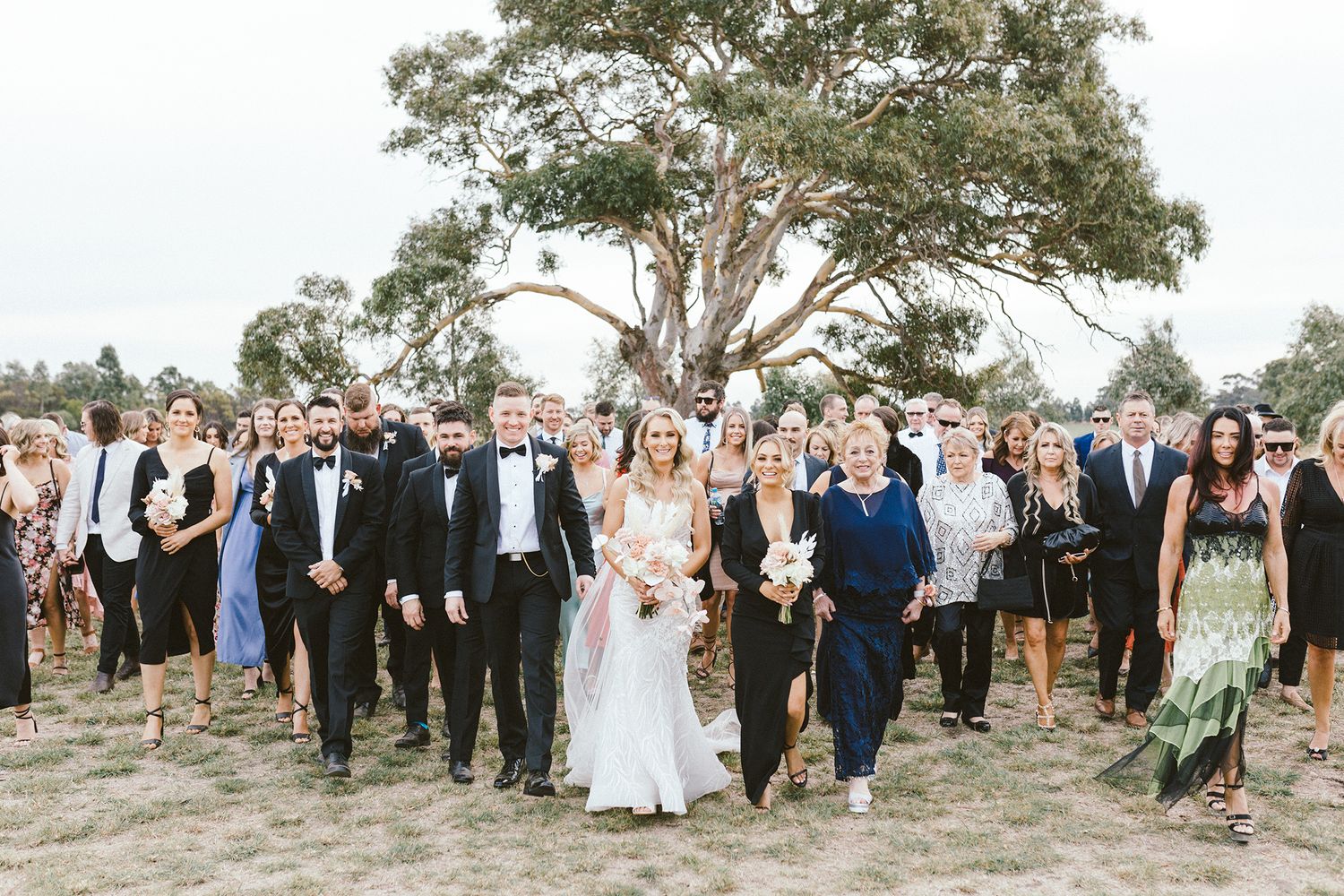 Wedding party and guests gathered for a group photo beneath a large tree in an outdoor setting.