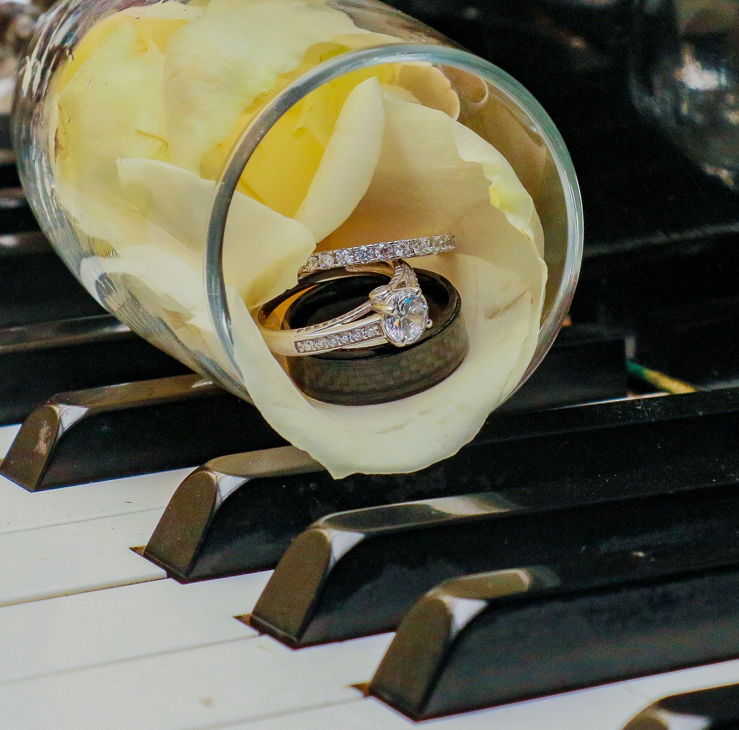 Wedding rings nestled inside a yellow rose on piano keys.