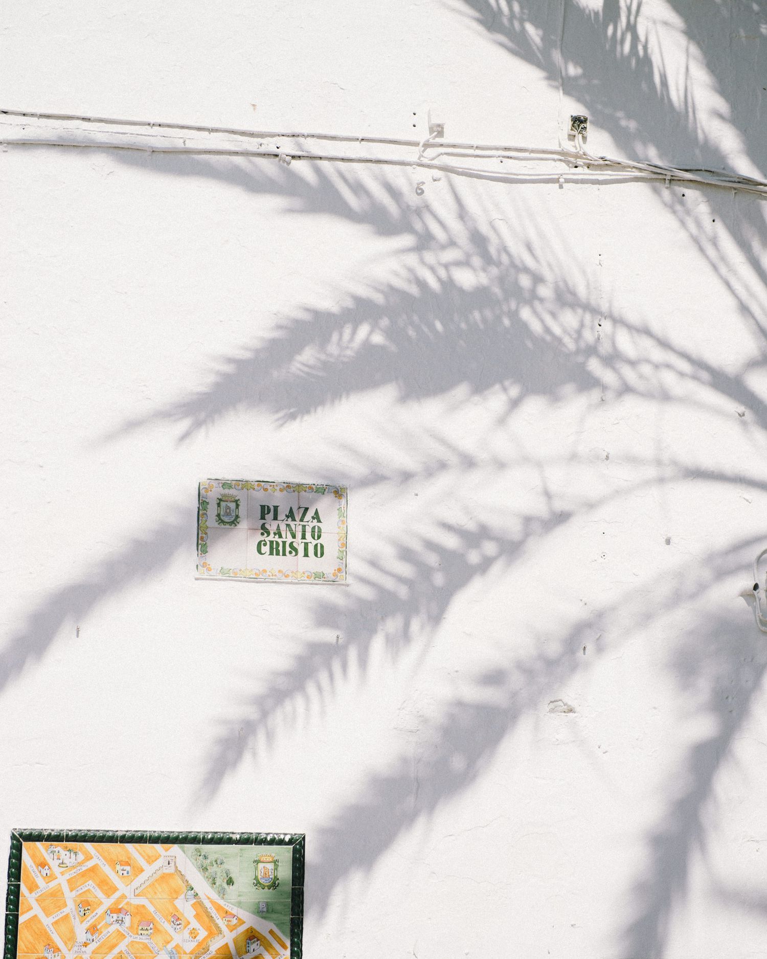 White wall with palm tree shadow and small posted sign.