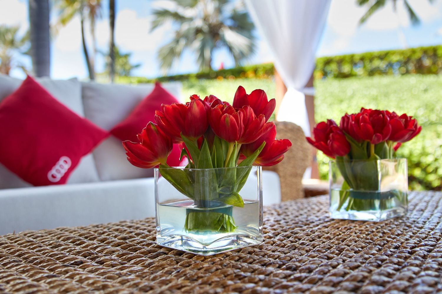 Red tulips in square glass vases on woven mat with ocean view.