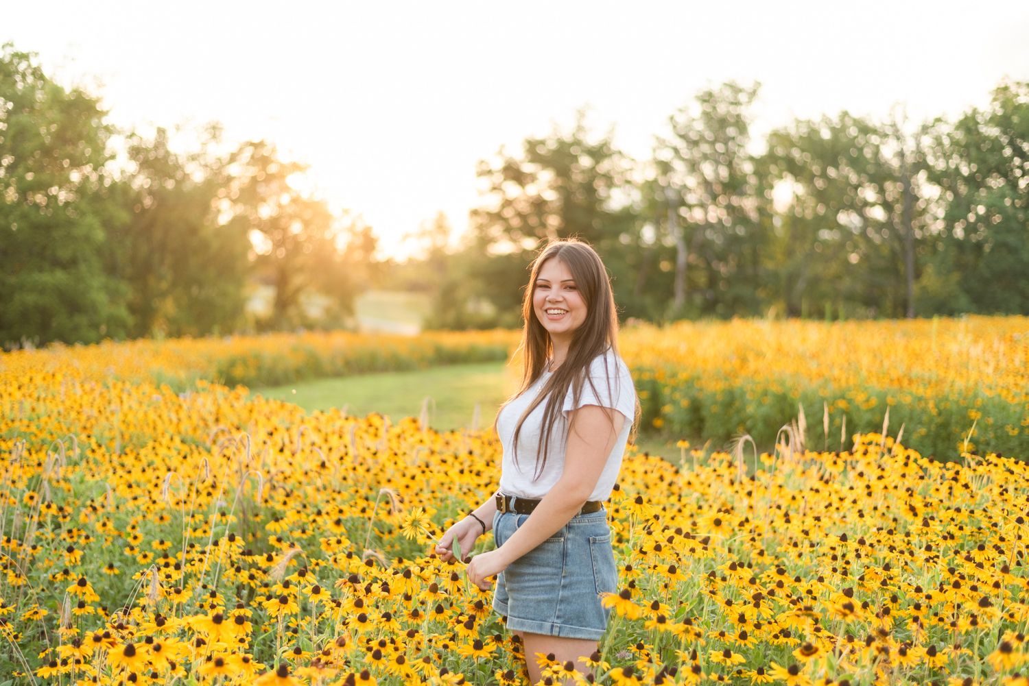 Girl standing in sunflower field in golden sunlight at Hartwood Acres in Pittsburgh Pennsylvania