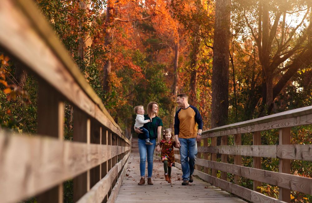 Wide angle view of a wooden boardwalk through autumn trees during golden hour.