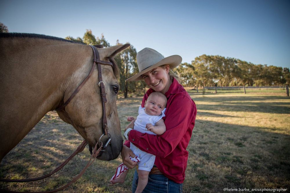 A heartwarming moment between a small child and a dun horse on a sunny ranch.