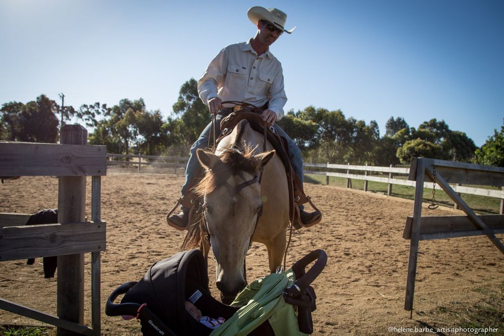 A horse and rider practicing in a fenced arena with riding equipment visible.