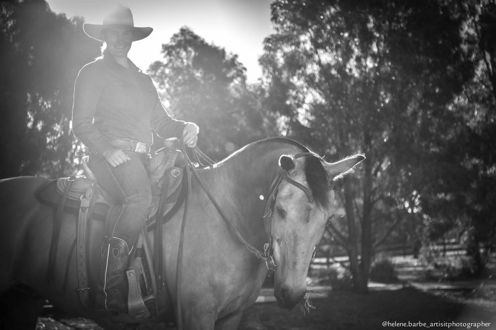 A dramatic black and white silhouette of a horse and rider against a wooded background.