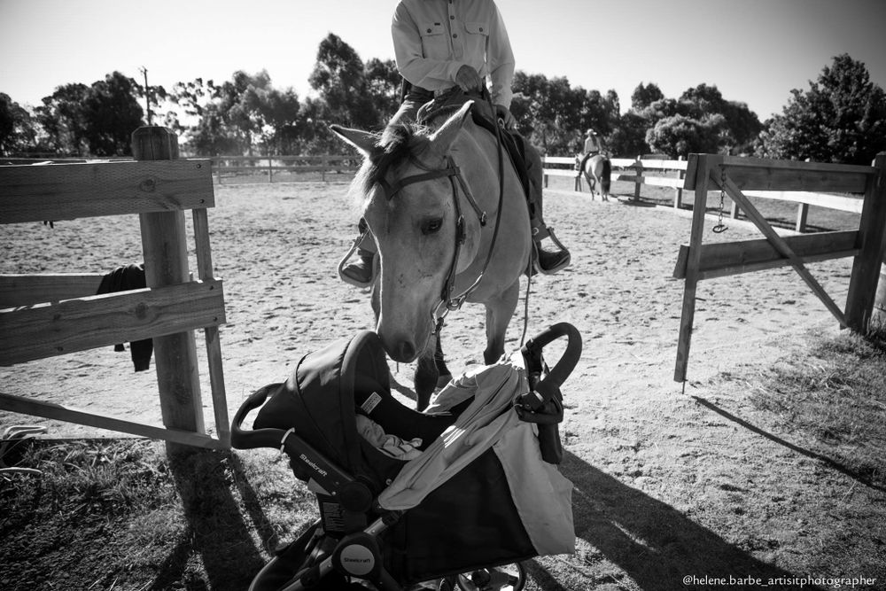 A black and white photo showing a horse near riding equipment and wooden fencing.
