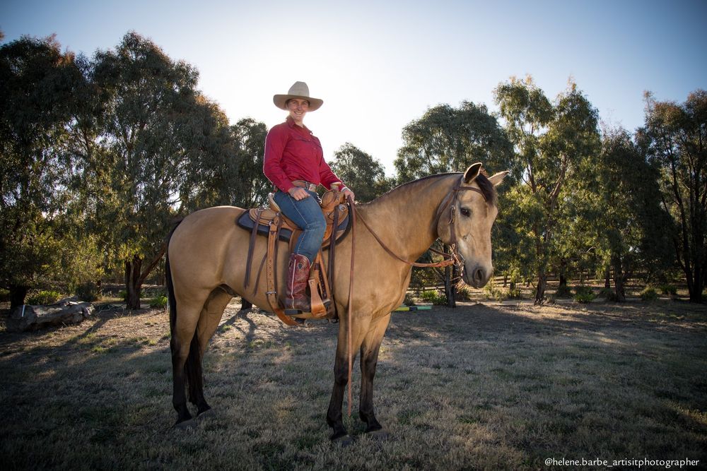 A rider in western attire sits atop a tan horse against a backdrop of eucalyptus trees in golden afternoon light.