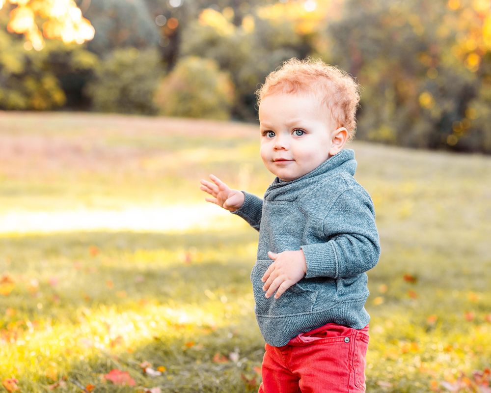 One Year Old Portrait Photographer