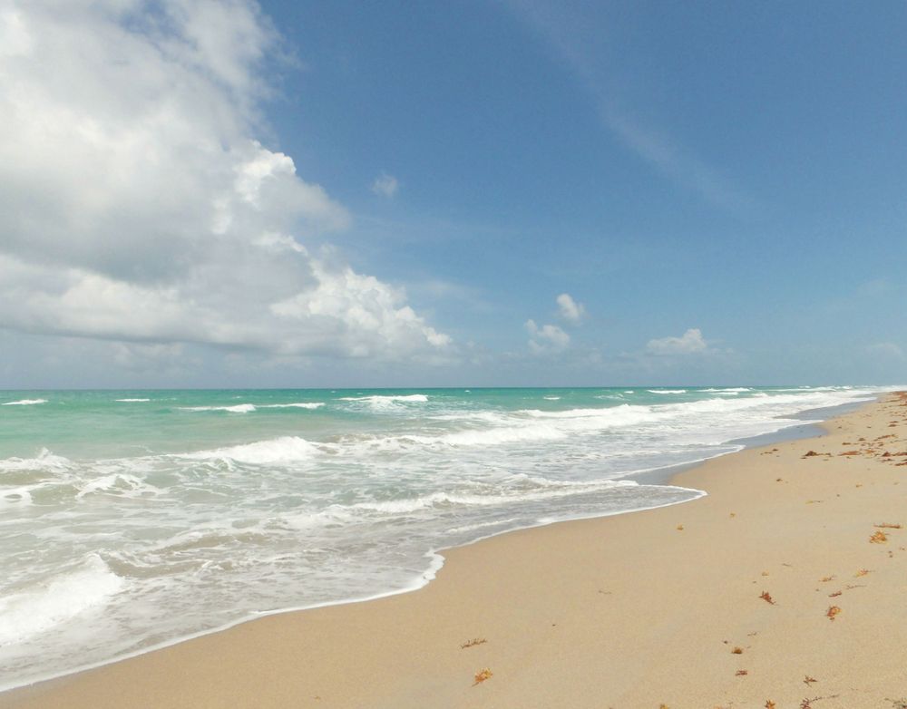 Slice of Paradise