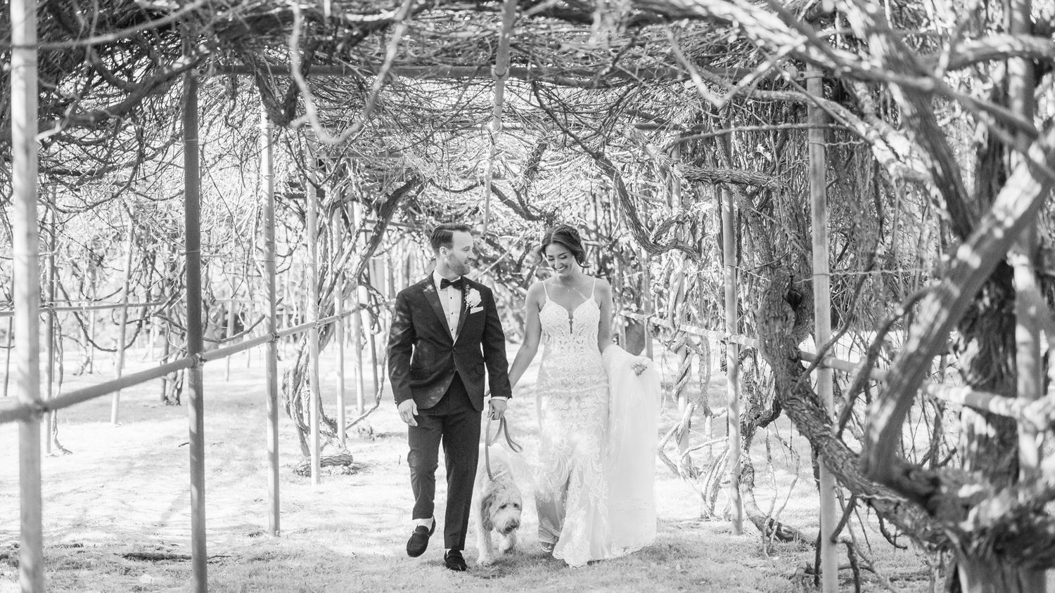 Couple walking through the vineyards of Flowerfield Celebrations with their dog.