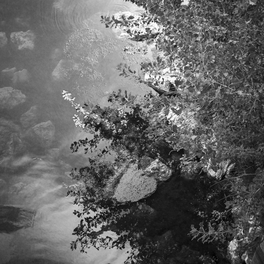 La Loire vue de ses ponts, reflets et plantes à Meung-sur-Loire