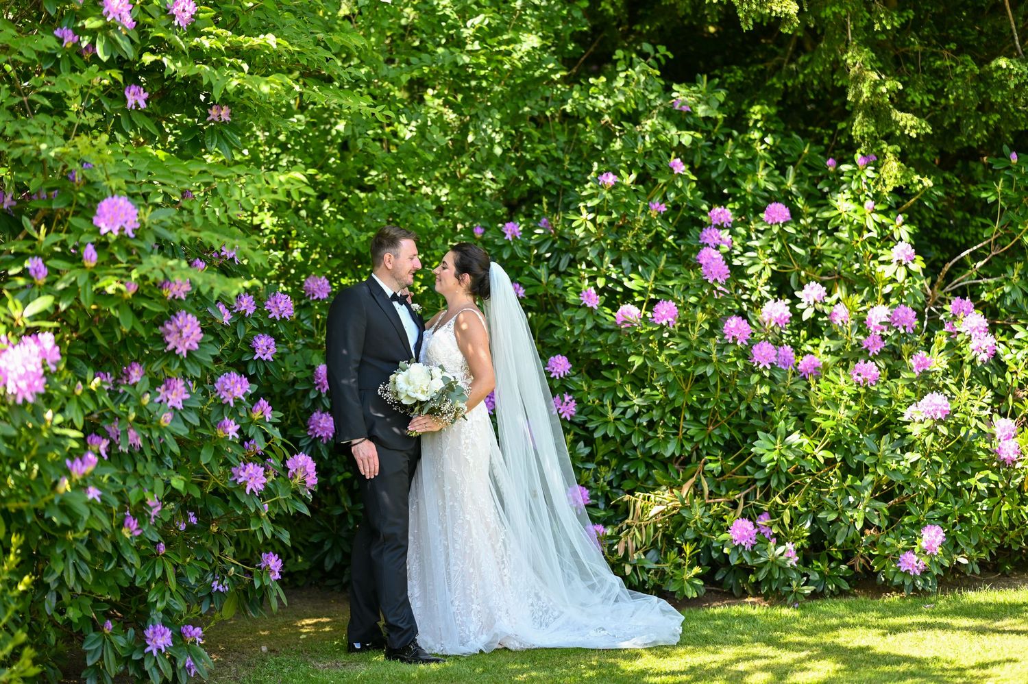 A romantic wedding portrait amid blooming purple rhododendrons in a garden setting.