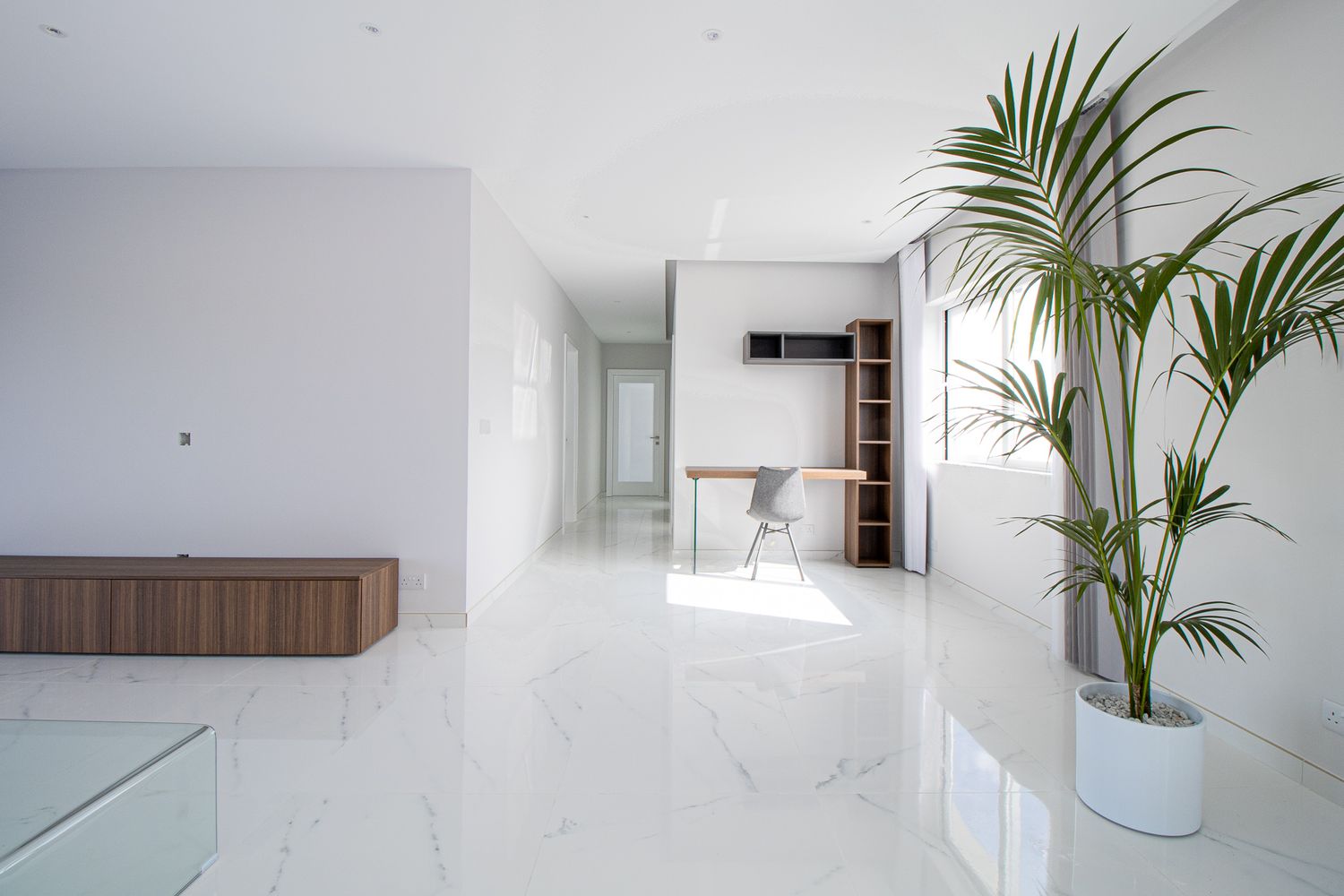 Minimalist white interior with marble floors, tropical plant, and wooden furniture.