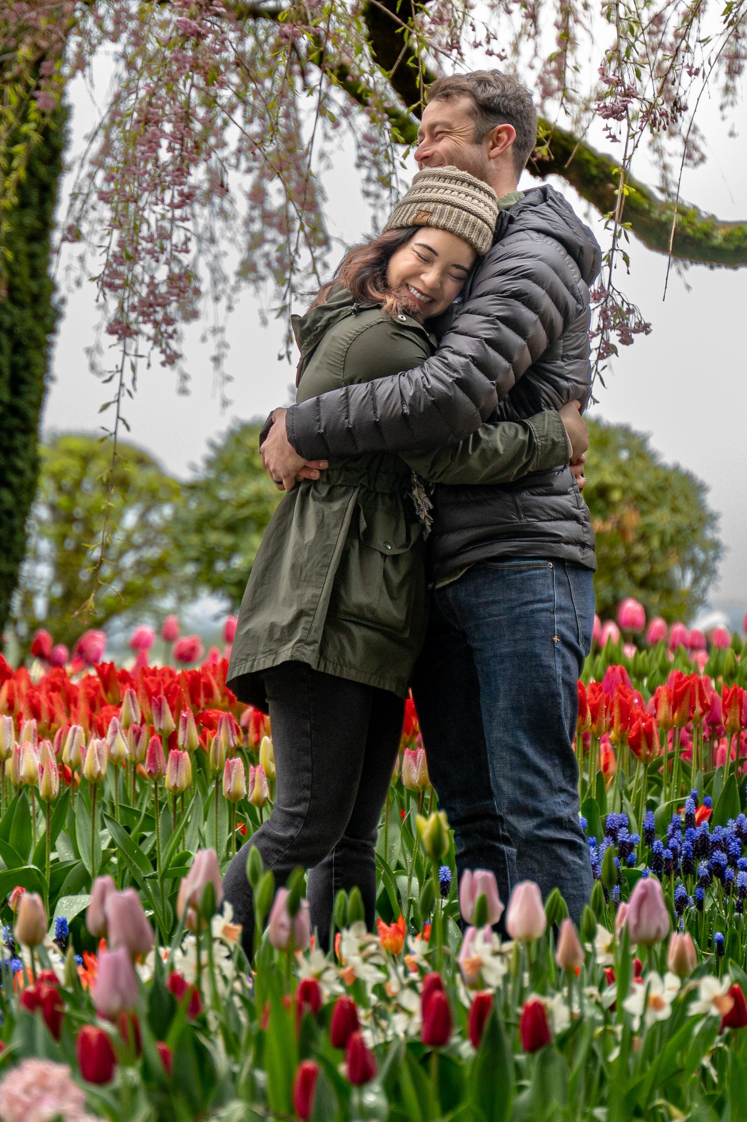 Young couple embraces in a beautiful field of tulips for a Washington couples photo session in Mt. Vernon.