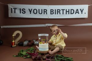 The Office themed cake smash, 2 year old birthday photo, Dwight schrute