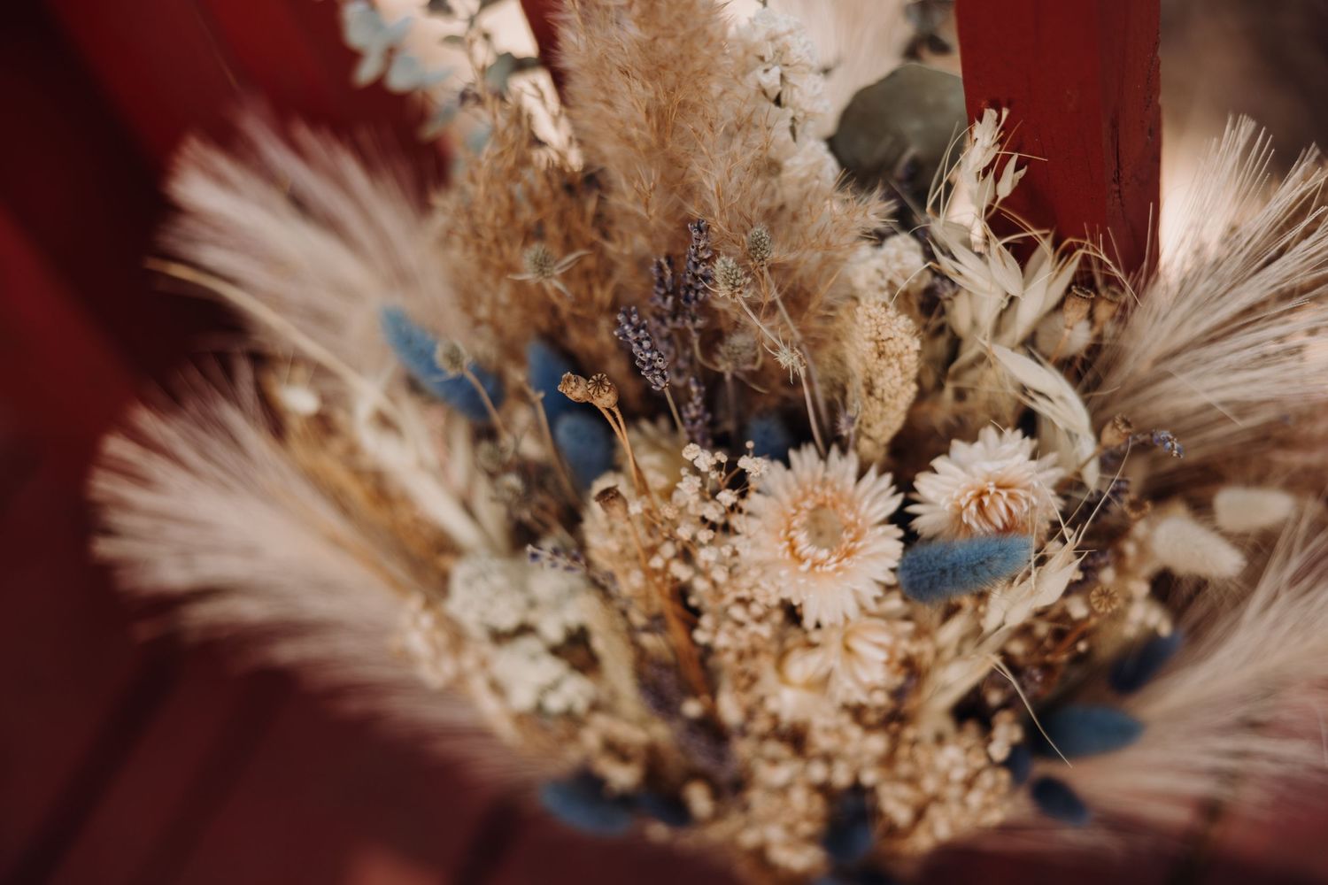 Dried floral arrangement featuring pampas grass and blue flowers against a burgundy background.