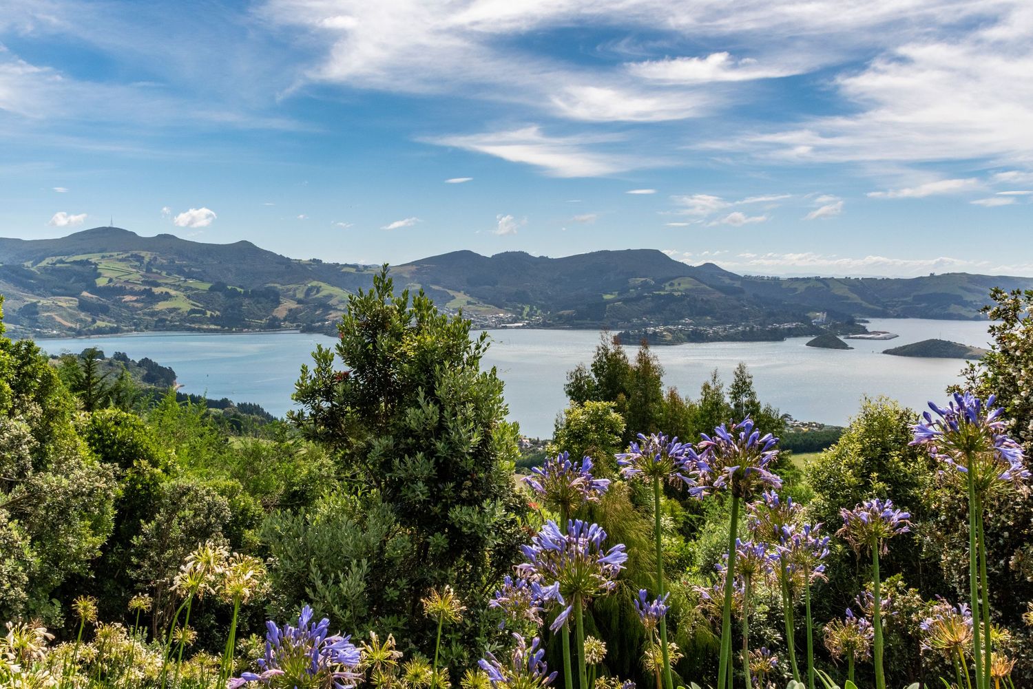 New Zealand