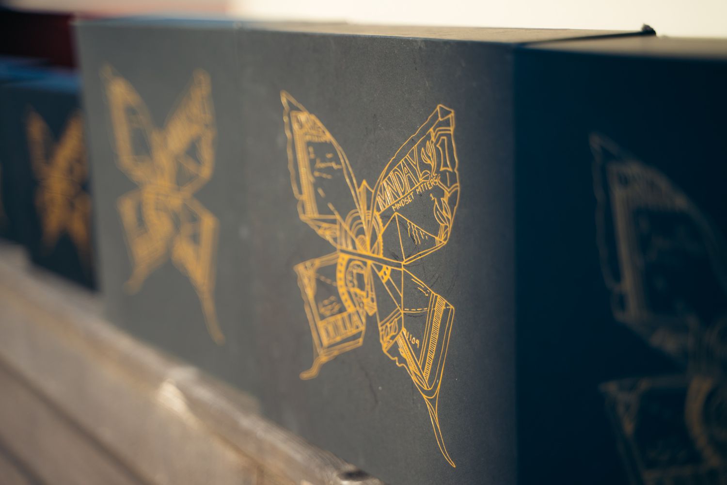 Dark book spine with intricate gold butterfly engravings in warm sunlight on a wooden surface.