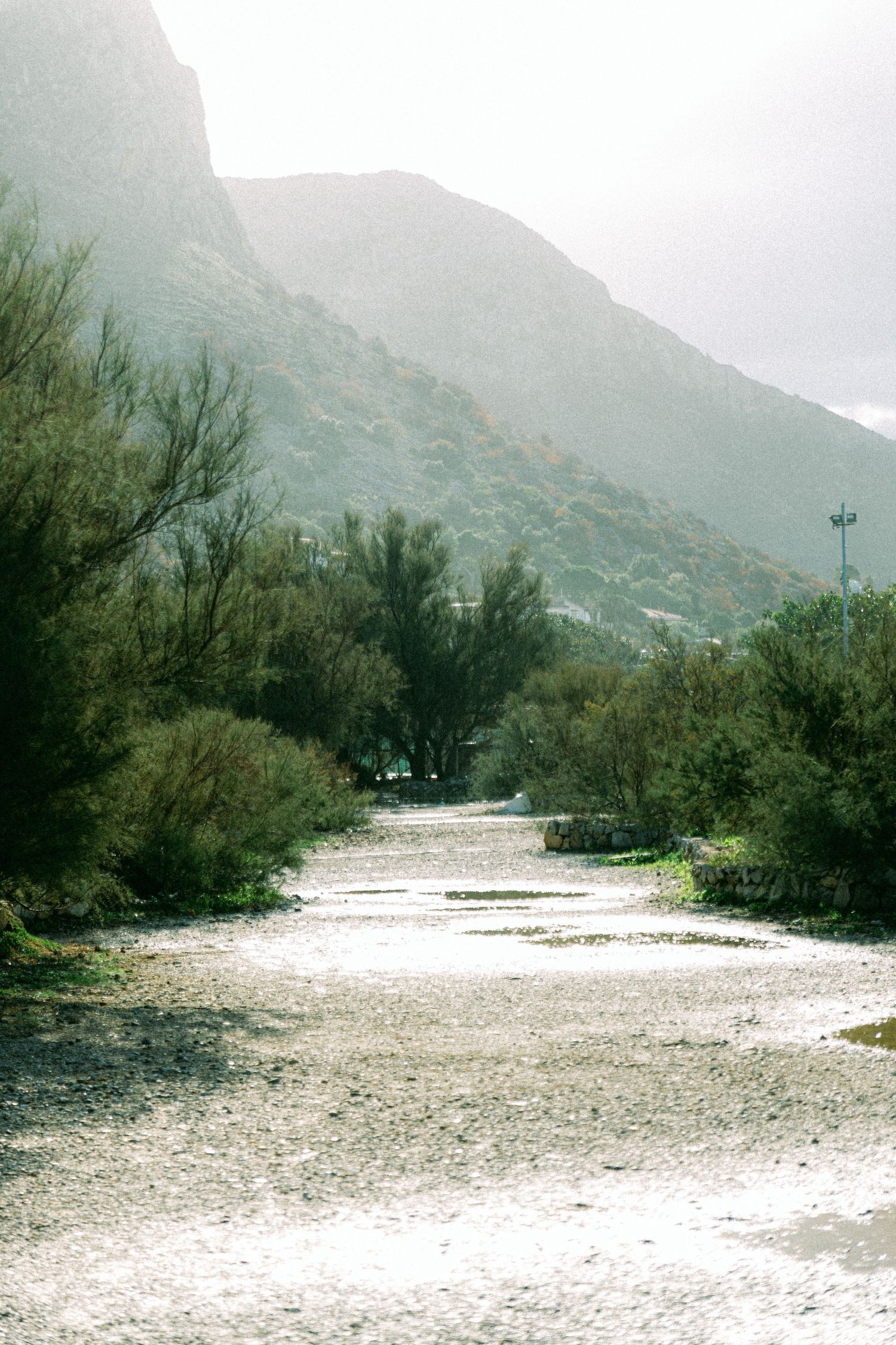 Misty mountain trail winding through green vegetation with scattered patches of sunlight.