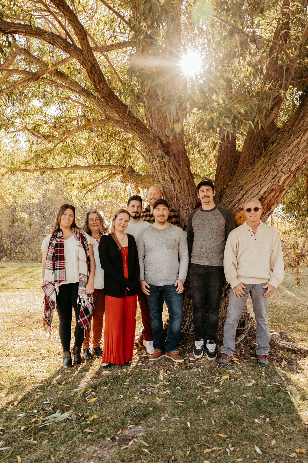 Family portrait beneath a sunlit tree with golden light streaming through the branches.