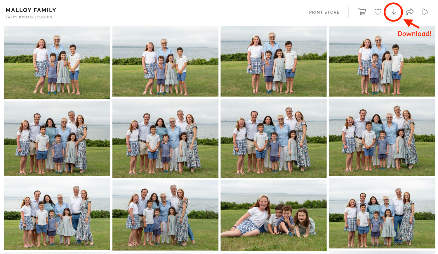 Family photo session grid showing multiple poses in an outdoor field setting.