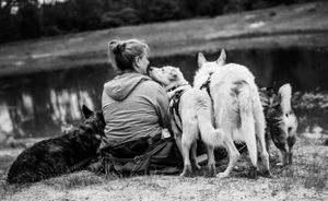 Fotografin-fotografiert-Hunde