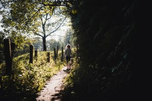 Fotografin-fotografiert-in-der-Natur