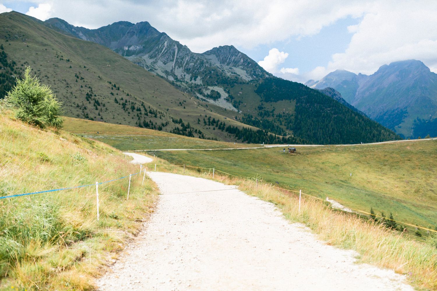 Winding dirt path through alpine meadow with mountain peaks in the background.