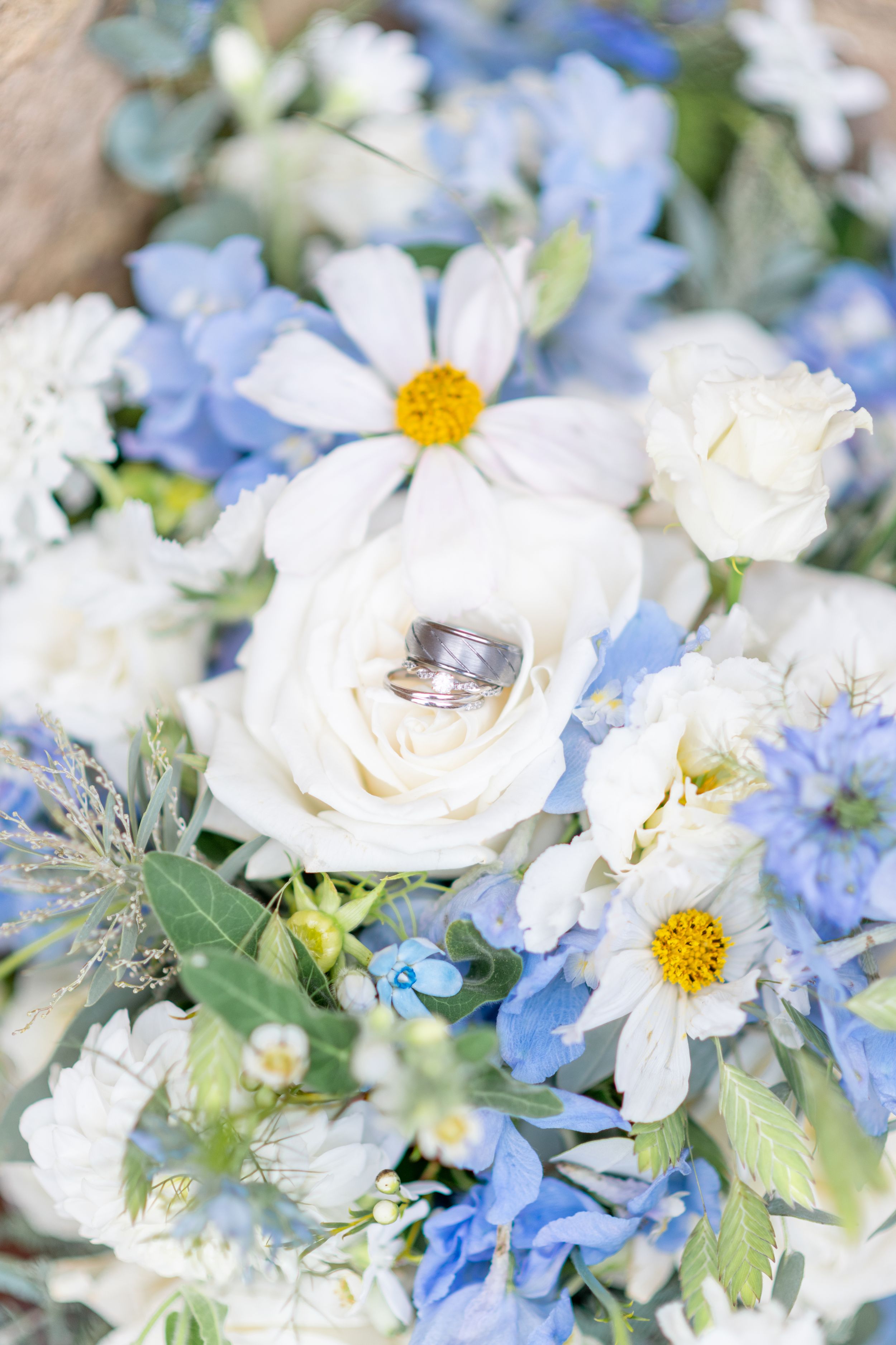 Wedding rings nestled in white roses and daisies with delicate blue flowers in a romantic bridal bouquet.