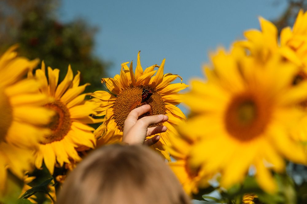 Bloom - Potrettikuvaus miljöössä - Valokuvaaja Oulu - Kukkakuvaus - Saaga Visuals - Dokumentaarinen kuvaus