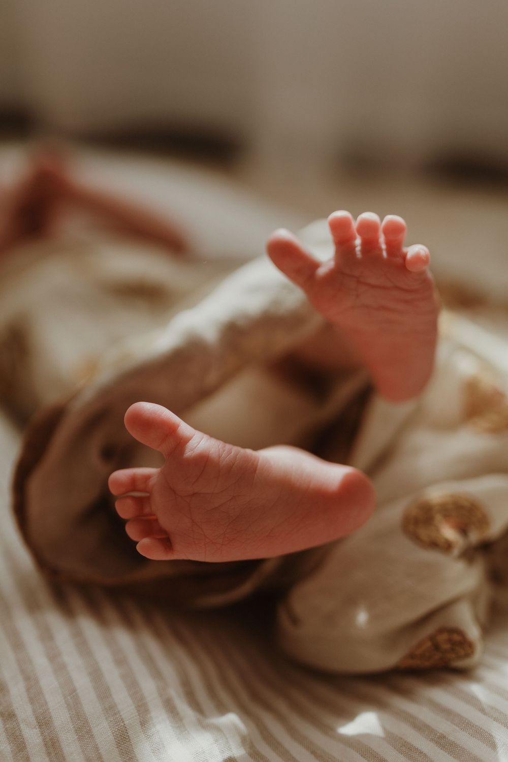 In Home Newborn Session, Hunter Valley