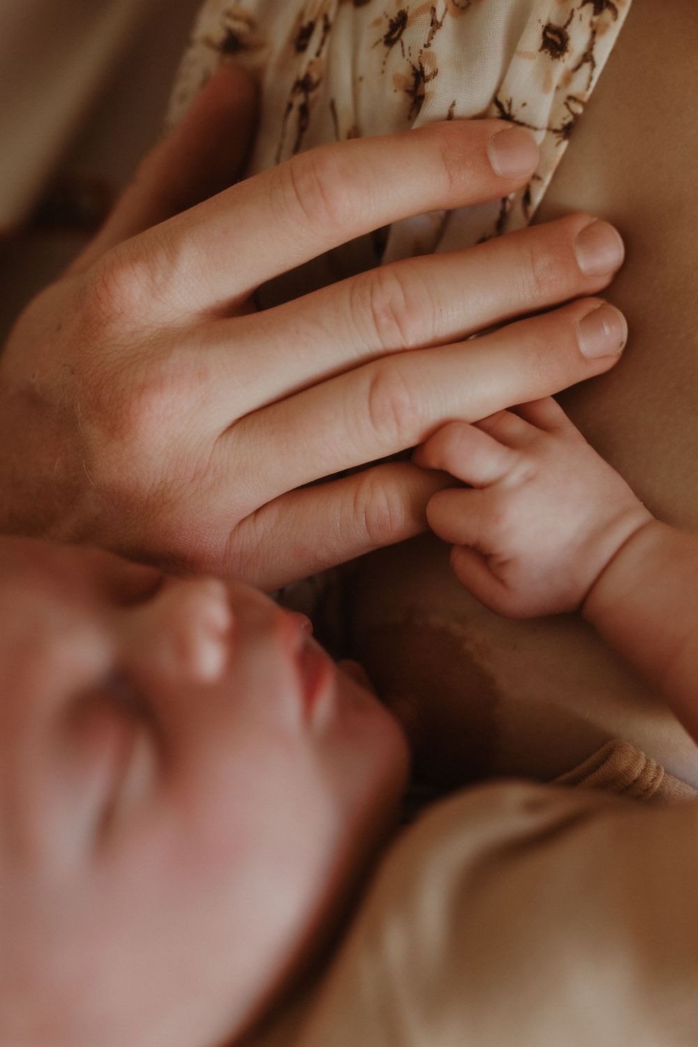 In Home Newborn Session, Hunter Valley