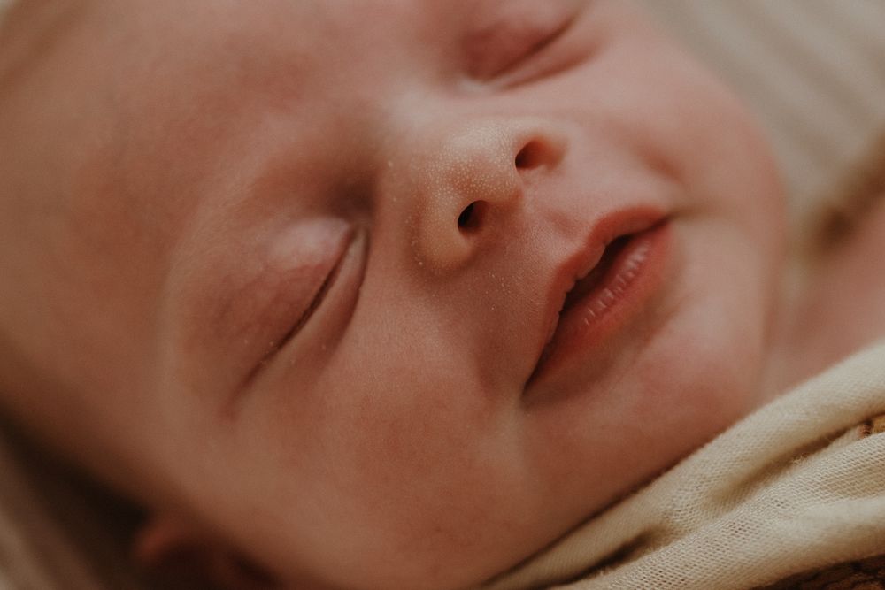 In Home Newborn Session, Hunter Valley