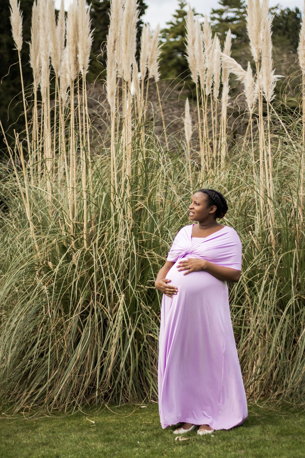 An ethereal maternity photo amid tall pampas grass, featuring a flowing lilac dress.