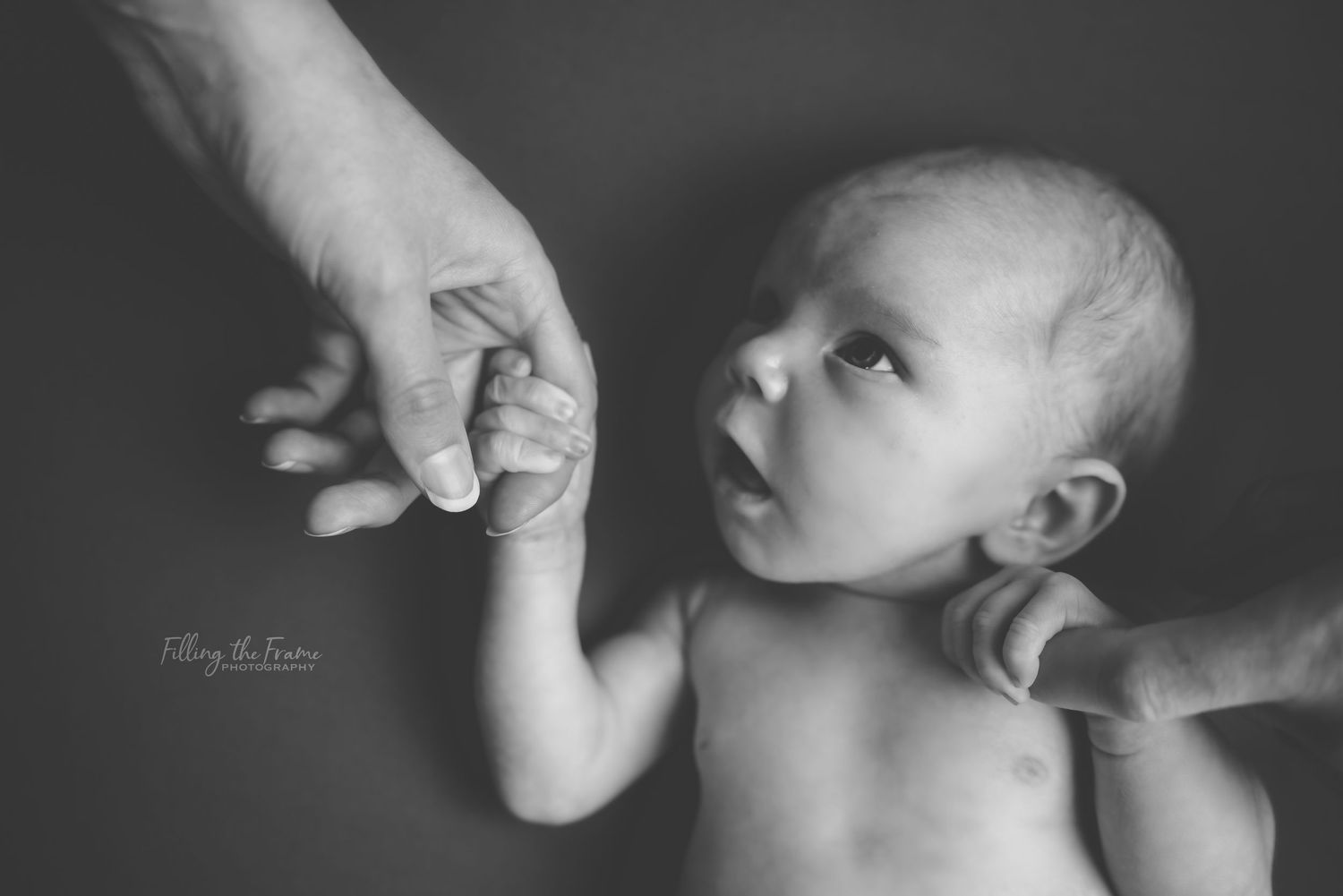 Black and white image of tiny baby hand reaching for adult finger.