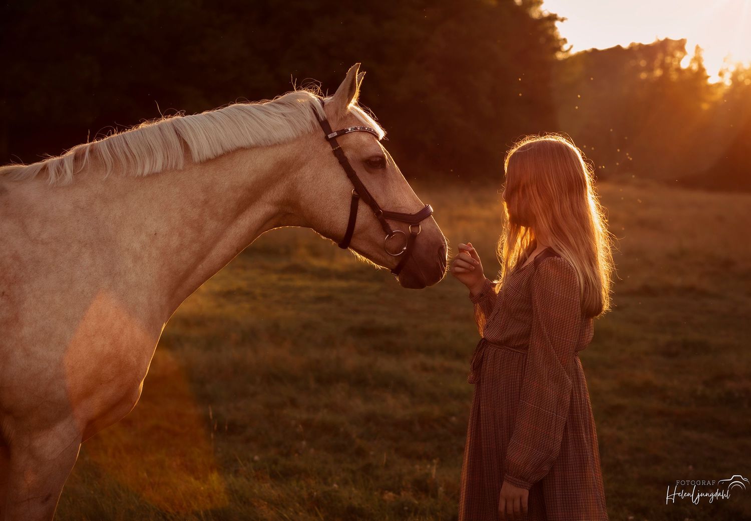 A white horse and figure in a dress share a quiet moment at golden sunset in a pastoral field.