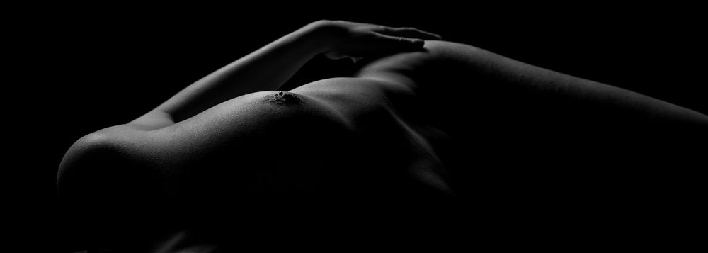 Minimalist black and white study of natural forms and contours.
