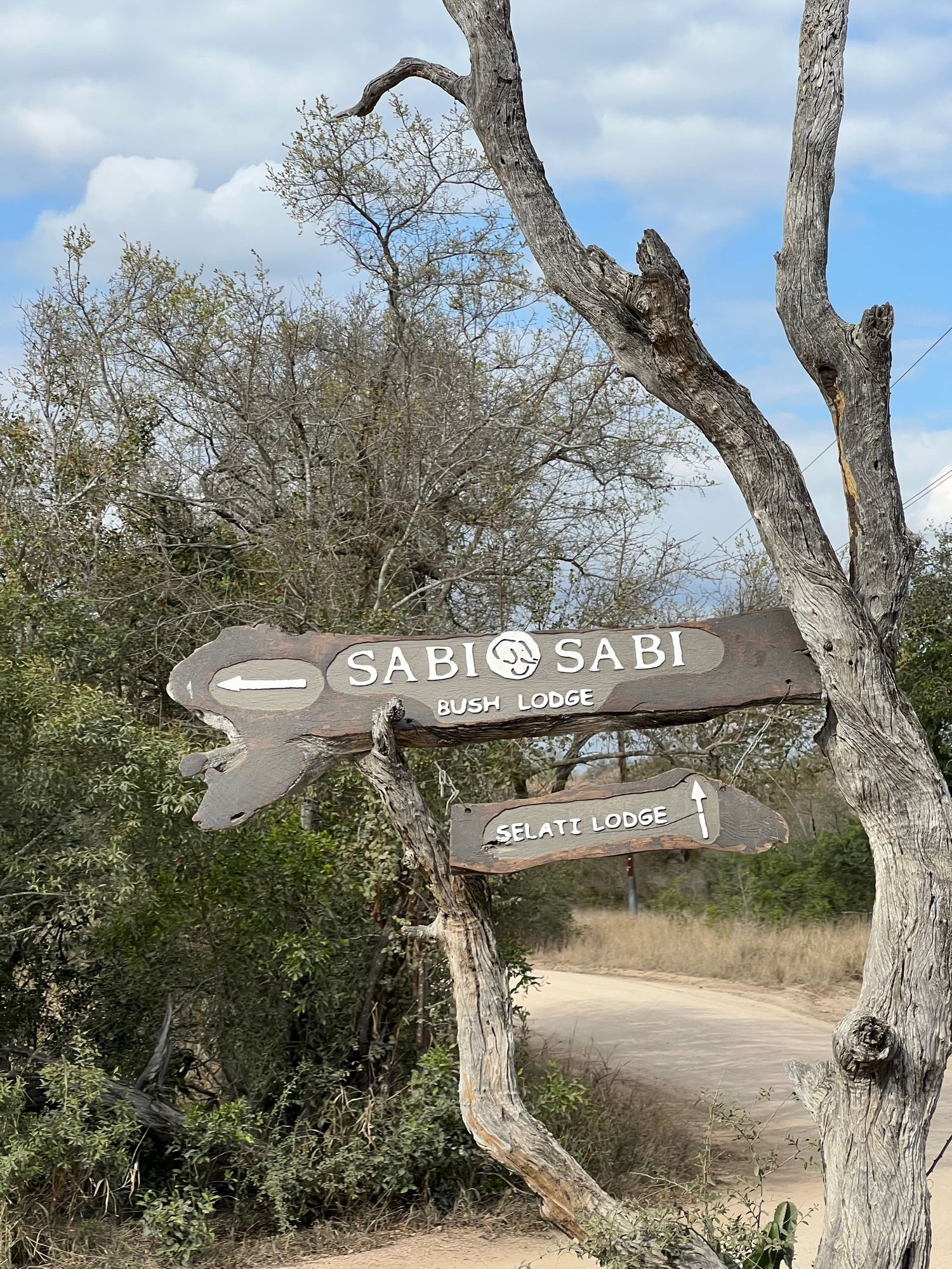 Wooden directional sign for Sabi Sabi lodge mounted on weathered tree branches.