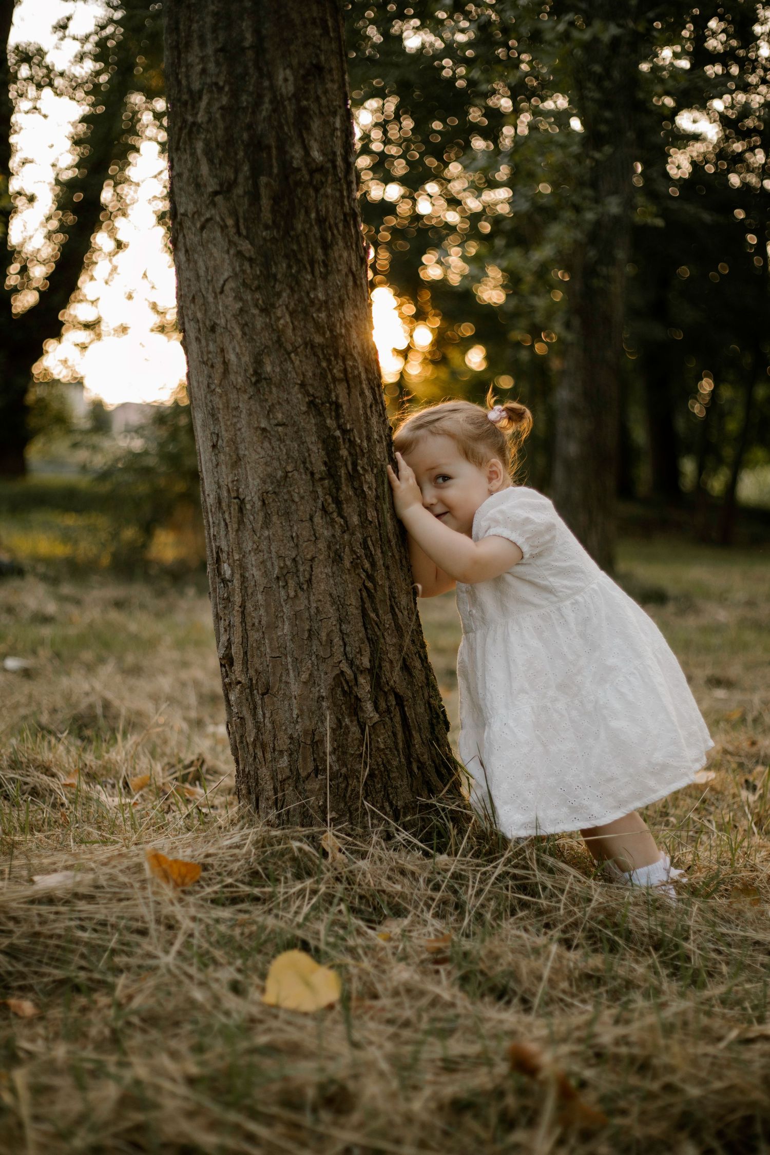 A young child in a white dress plays peek-a-boo behind a tree trunk at sunset.