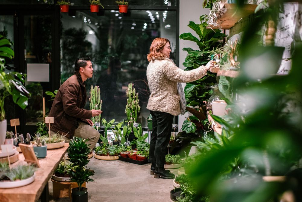 People shopping for plants in a modern greenhouse filled with tropical greenery.