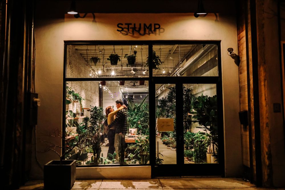 Illuminated storefront window display with plants and warm lighting in an evening urban setting.