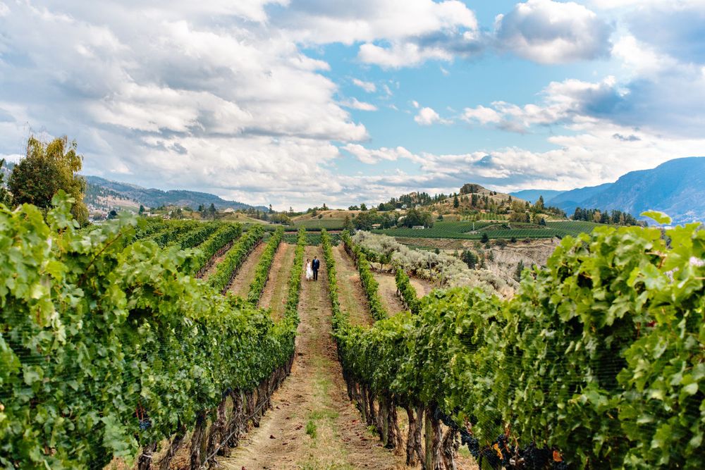 okanagan destination wedding photographers