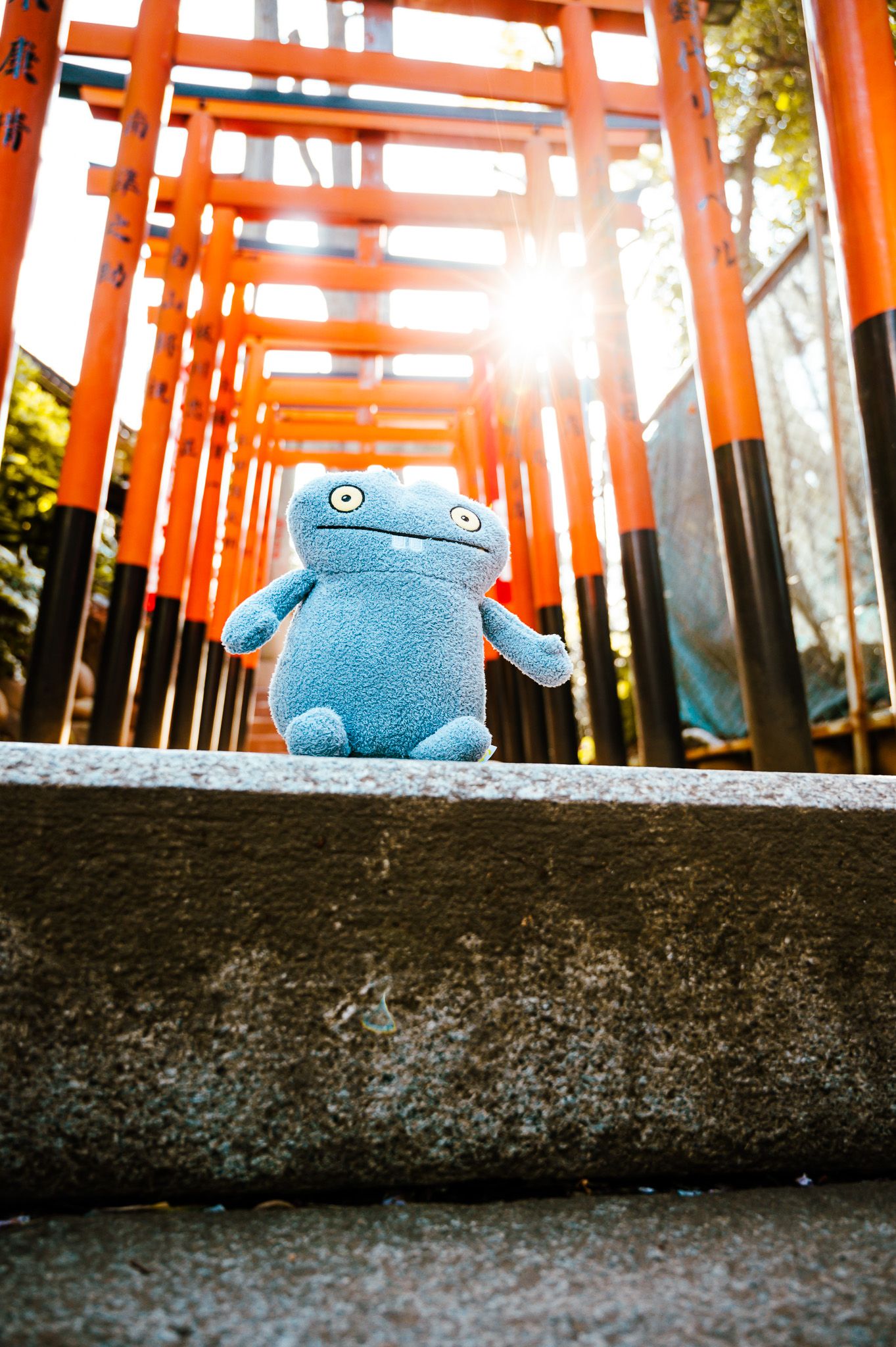 Blue plush toy sitting beneath vibrant orange torii gates at a Japanese shrine.