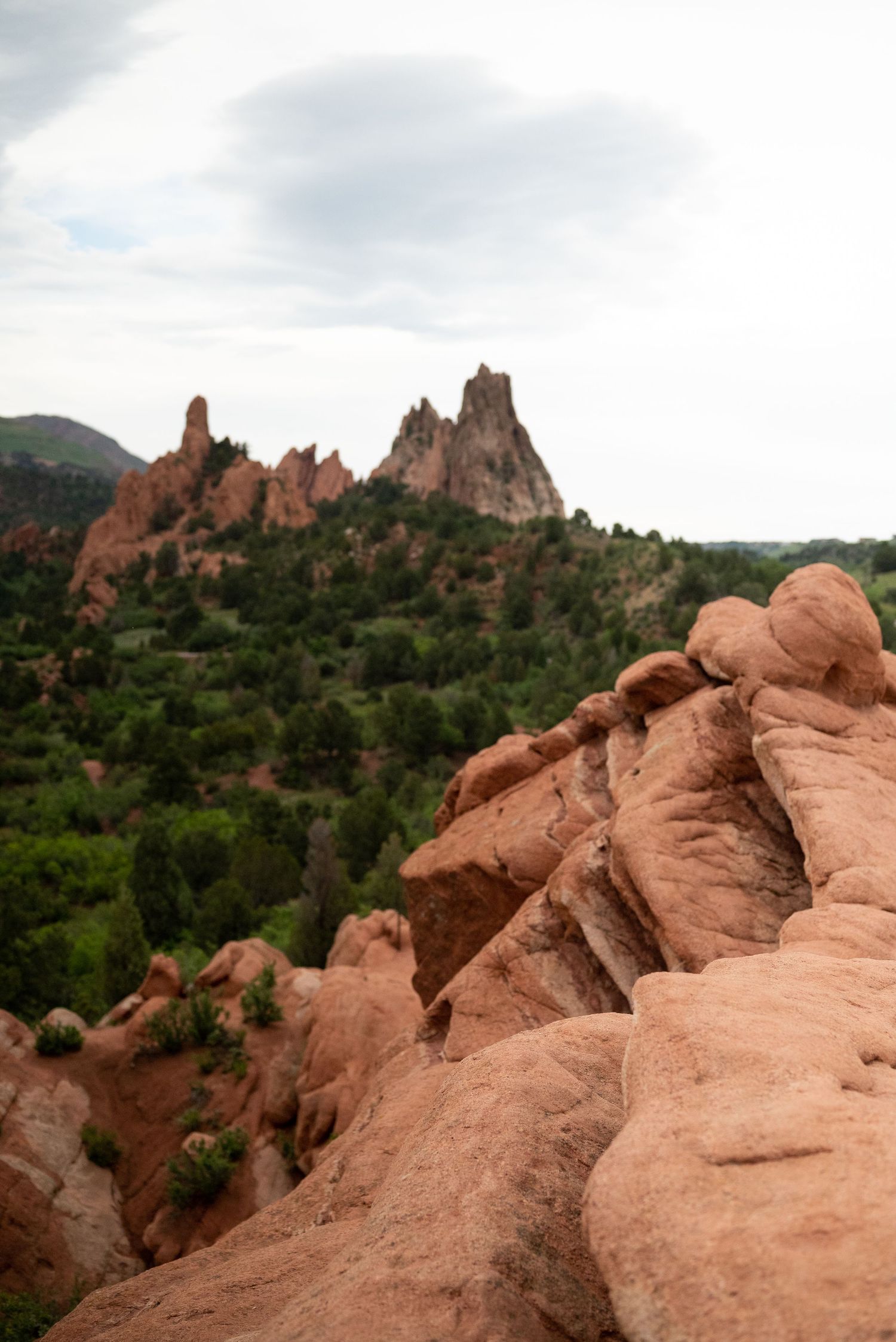 Scouting for a family photoshoot at Garden of the Gods