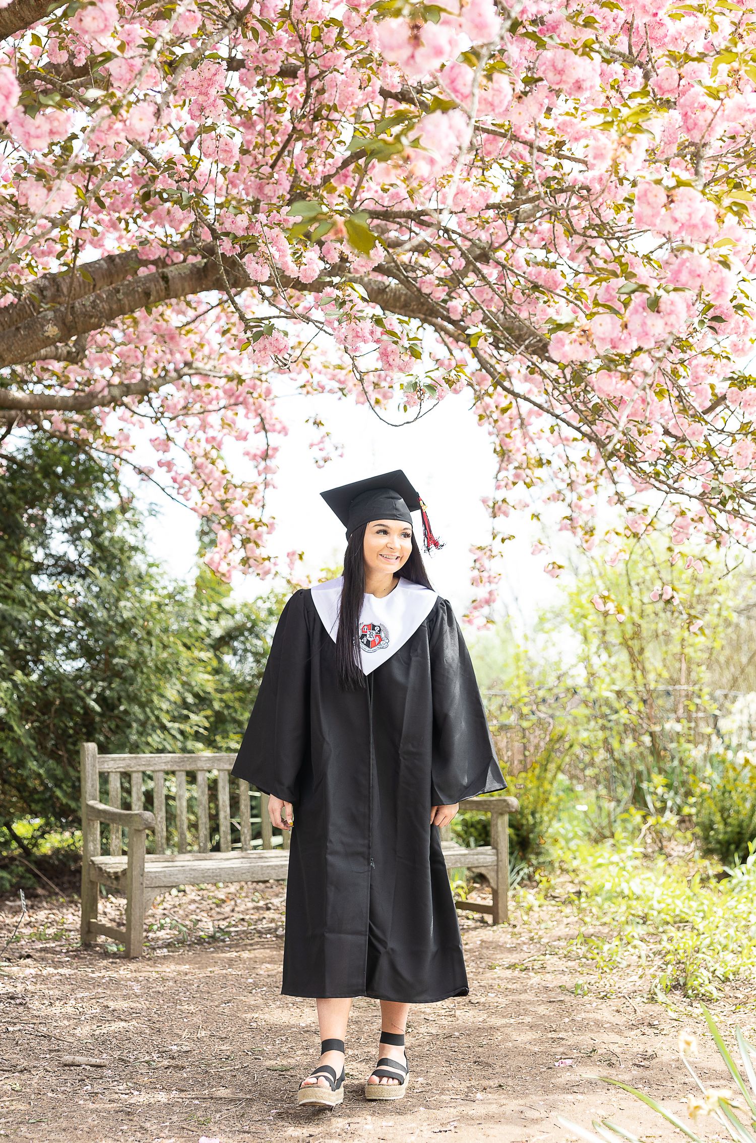 Graduate in black cap and gown poses under blooming cherry trees with garden bench.