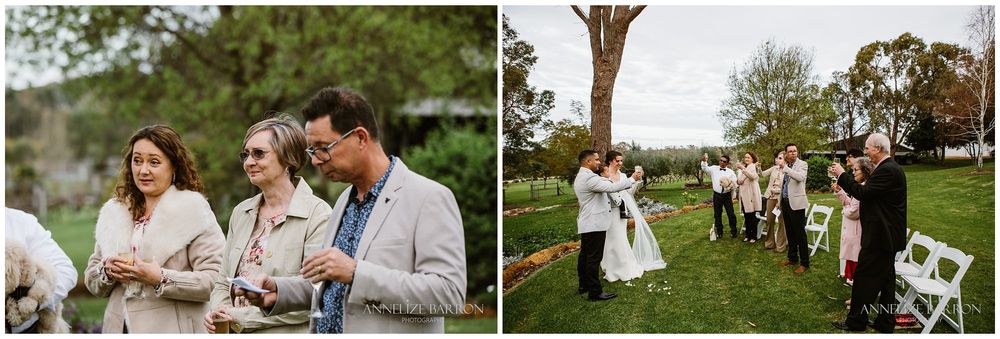 wedding speech and toast