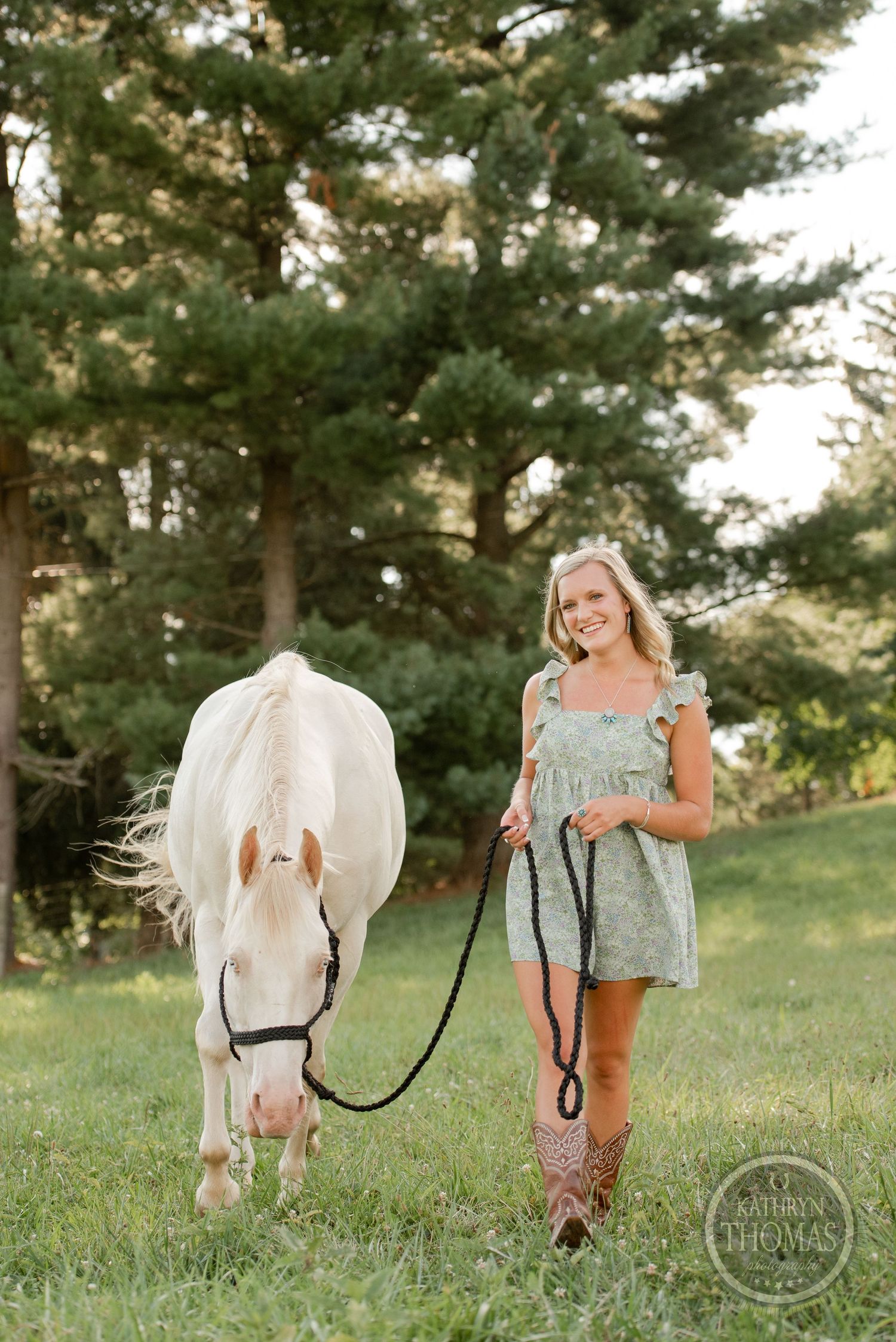 A white horse being led through a grassy field with pine trees in the background at sunset.