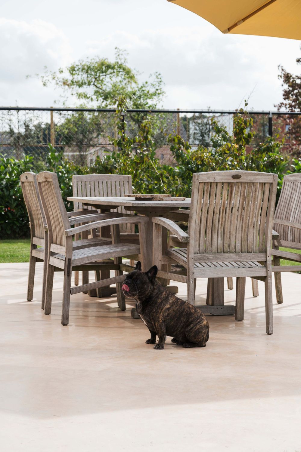 Weathered teak outdoor furniture set with umbrellas and a black cat lounging on the patio.
